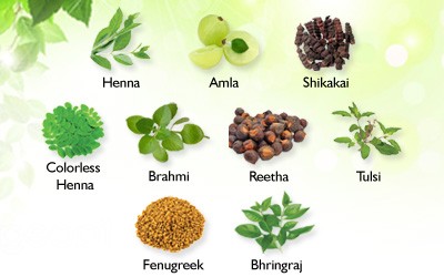 INDUS VALLEY prášek Multani mitti 200 gr.