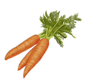 LOGONA Vitamínový krém KAROTKA 30 ml.