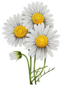 LOGONA Dětský zubní gel Jahoda HAPPY KIDS 75 ml.